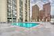 1122 N Clark Unit 2001, Chicago, IL 60610