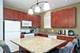 1017 S Lytle Unit 102, Chicago, IL 60607