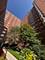 4970 N Marine Unit 830, Chicago, IL 60640