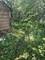 255 Minocqua, Park Forest, IL 60466
