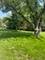 255 Minocqua, Park Forest, IL 60466