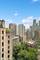 1300 N Astor Unit 19B, Chicago, IL 60610