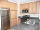 1255 S State Unit 1201, Chicago, IL 60605