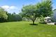2468 Barkdoll, Naperville, IL 60565