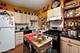 1443 W Berteau, Chicago, IL 60613