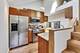 1009 W Wolfram Unit 2W, Chicago, IL 60614