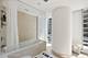 340 E Randolph Unit 301, Chicago, IL 60601