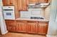7159 N Ozark, Chicago, IL 60631