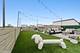 1259 N Wood Unit 407, Chicago, IL 60622