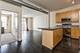 1631 S Michigan Unit 607, Chicago, IL 60616