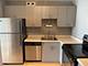 1660 N Lasalle Unit 4204, Chicago, IL 60614
