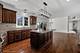 10715 Olde Mill, Orland Park, IL 60467