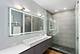 1015 N Cleveland Unit 1, Chicago, IL 60610