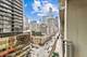 630 N State Unit 1003, Chicago, IL 60654
