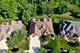 12629 Chiszar, Mokena, IL 60448
