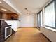 400 E Randolph Unit 2927, Chicago, IL 60601