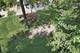 619 Cumnor, Barrington, IL 60010