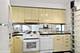 300 N State Unit 3929, Chicago, IL 60654