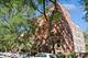 456 W Deming Unit 2W, Chicago, IL 60614