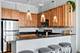 1819 S Michigan Unit 502, Chicago, IL 60616