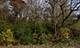 39 Ridgeland, Fox Lake, IL 60020