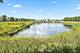 234 Water Lily, Elgin, IL 60124