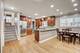 1701 S Clifton, Park Ridge, IL 60068