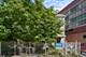 1110 W Addison, Chicago, IL 60613
