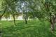 100 N Regency Unit 204, Arlington Heights, IL 60004