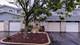 15946 78th, Tinley Park, IL 60477