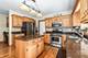 1032 Hamlet, Naperville, IL 60564