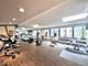 2754 N Hampden Unit 1806, Chicago, IL 60614