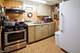 5056 N Natchez, Chicago, IL 60656