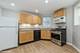 1228 W Glenlake, Chicago, IL 60660
