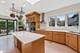 1228 W Glenlake, Chicago, IL 60660