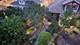 7215 N Ridge, Chicago, IL 60645