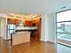 225 S Sangamon Unit 807, Chicago, IL 60607