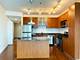 225 S Sangamon Unit 807, Chicago, IL 60607