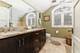 1324 Grove, Park Ridge, IL 60068