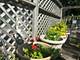 1315 E 55th, Chicago, IL 60615