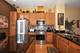 4602 S Woodlawn, Chicago, IL 60653