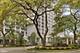 4250 N Marine Unit 932, Chicago, IL 60613