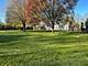 1713 White, Downers Grove, IL 60516