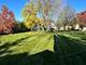 1713 White, Downers Grove, IL 60516