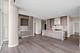 202 W Hill Unit 3904, Chicago, IL 60610