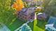800 Wing, Elgin, IL 60123
