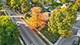 800 Wing, Elgin, IL 60123