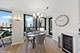 1030 N State Unit 8E, Chicago, IL 60610