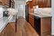 1420 Sheridan Unit 2B, Wilmette, IL 60091
