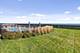 1420 Sheridan Unit 2B, Wilmette, IL 60091